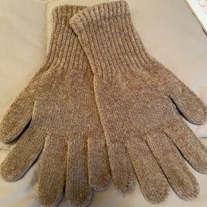 Axxents Magic Stretch Gloves